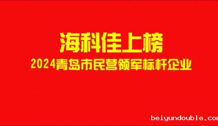 伟德bv1964上榜！2024年青岛市民营领军标杆企业